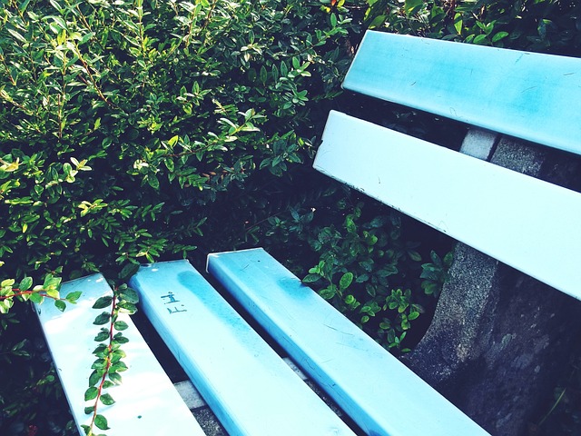 然是乌龙球 然是乌龙球