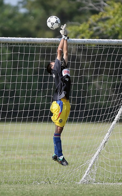 为澳大利亚 为澳大利亚